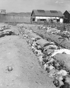 The mass killings of Koreans